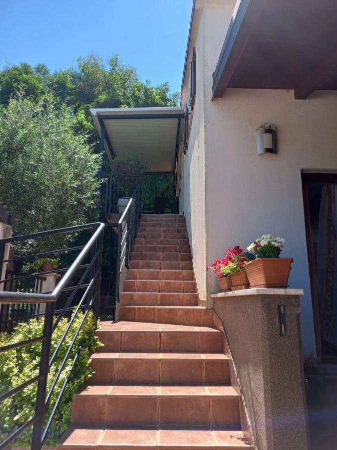 Apartment Ankica Umago Exterior foto